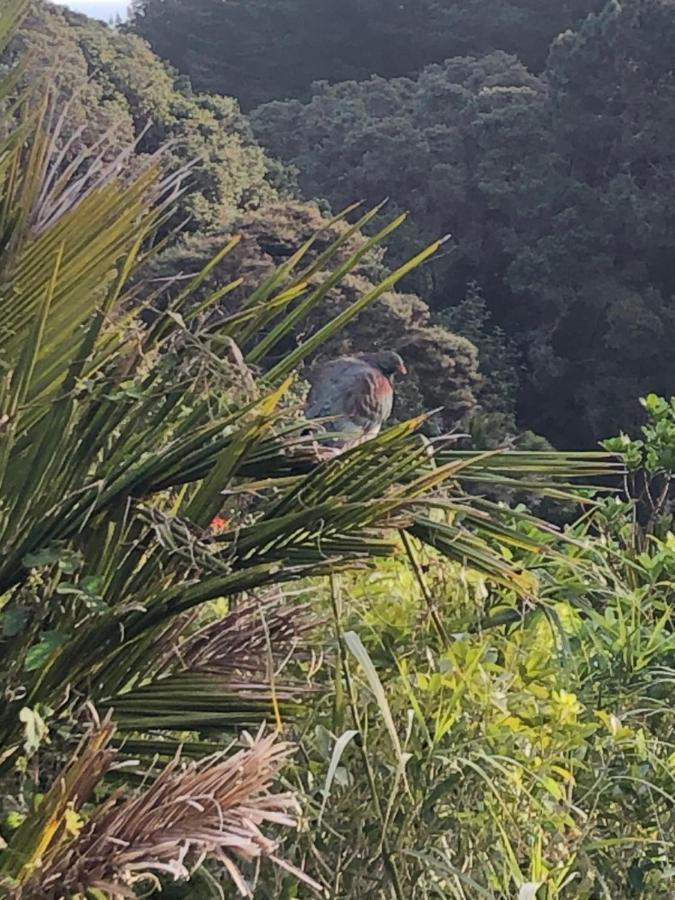 Muriwai Lodge Esterno foto